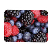 Zomerfruit Bessen Magneet (Horizontaal)