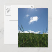 zomergebied briefkaart (Voorkant / Achterkant)