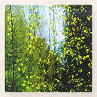 zomergordijn glazen onderzetter