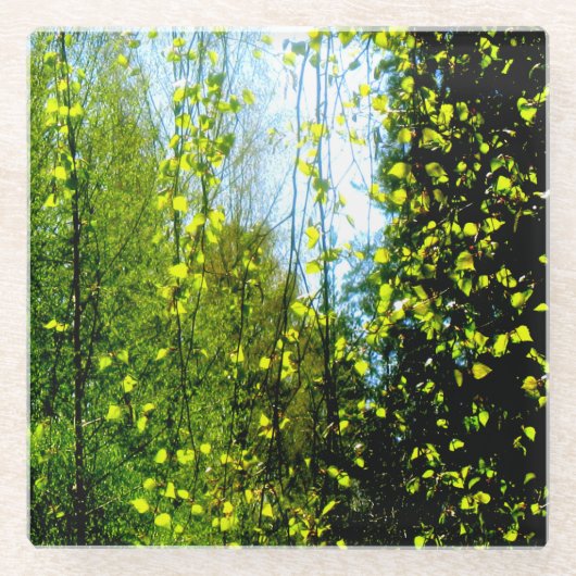 zomergordijn glazen onderzetter (Voorkant)