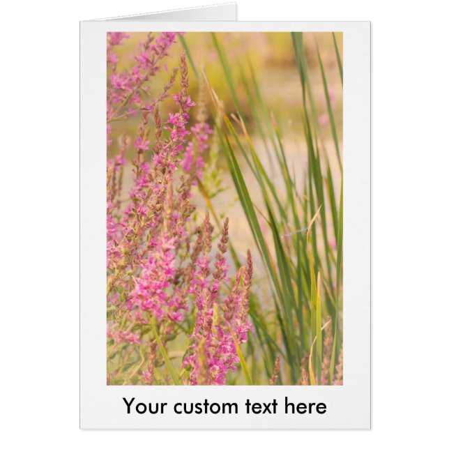 zomergras en -bloemen (Voorkant)