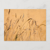 Zomergrassen En Schaduwen Briefkaart (Voorkant)