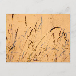 zomergrassen en schaduwen briefkaart