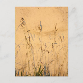 zomergrassen en schaduwen briefkaart