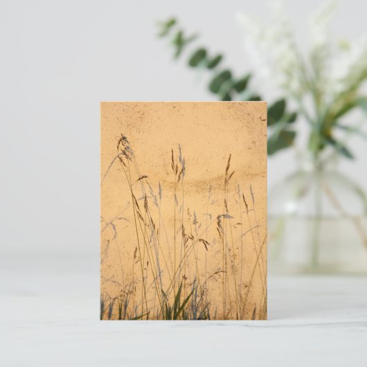 zomergrassen en schaduwen briefkaart (Staand voorkant)