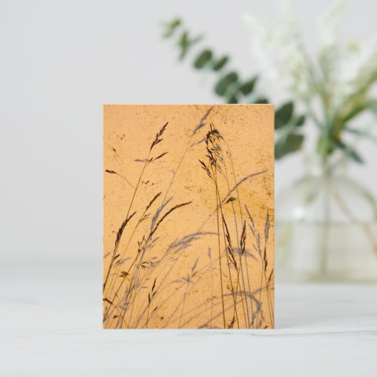 zomergrassen en schaduwen briefkaart (Staand voorkant)