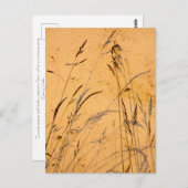 zomergrassen en schaduwen briefkaart (Voorkant / Achterkant)