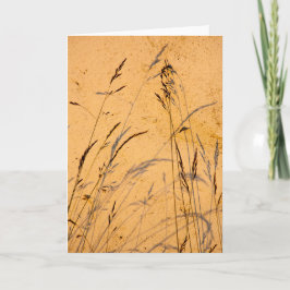 zomergrassen en schaduwen kaart