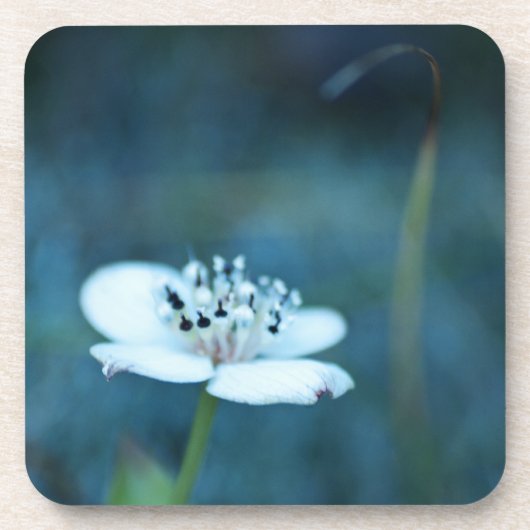 zomerherinneringen drankjes onderzetter (Voorkant)