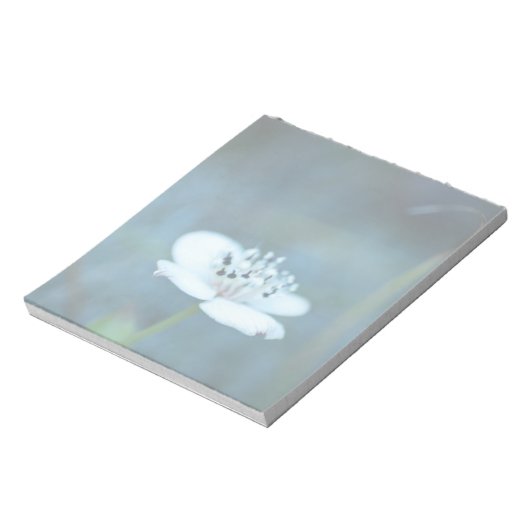 zomerherinneringen notitieblok (Linkerzijde)