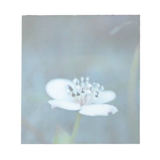 zomerherinneringen notitieblok (Voorkant)