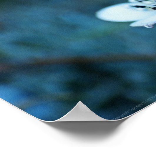 zomerherinneringen poster (Hoek)