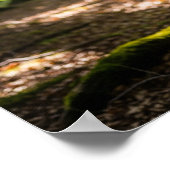 zomerhert poster (Hoek)