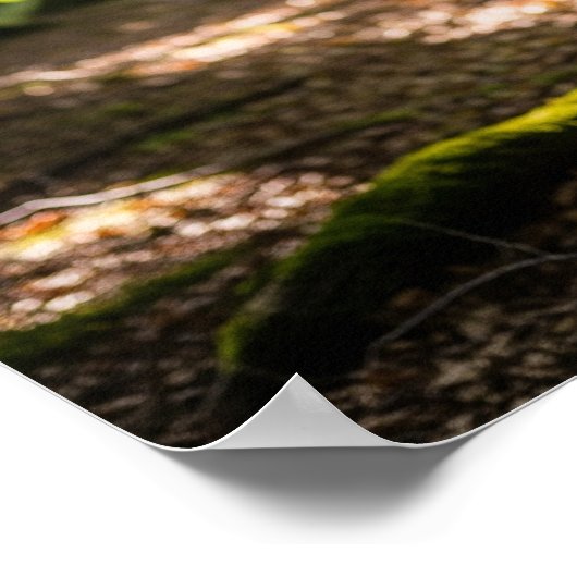 zomerhert poster (Hoek)