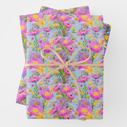 Zomerhuisje tuin inpakpapier vel (In situ)