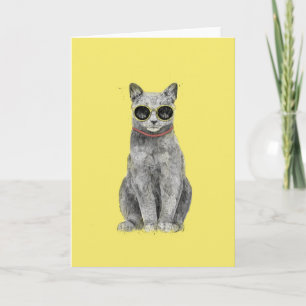Zomerkat Kaart