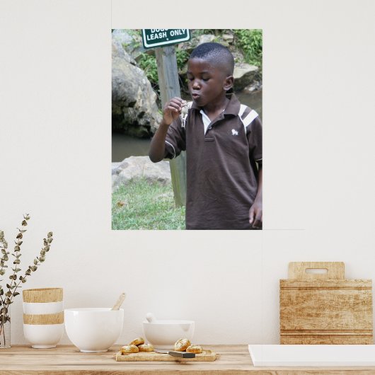 zomerkikkers poster (Keuken)