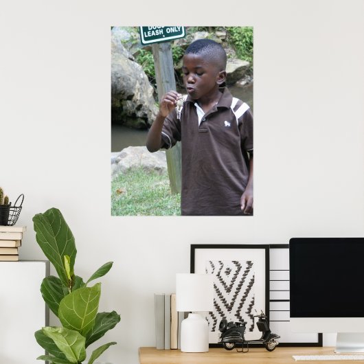 zomerkikkers poster (Thuiskantoor)