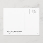 Zomerklassiek Briefkaart (Achterkant)