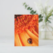 zomerkleur briefkaart (Staand voorkant)