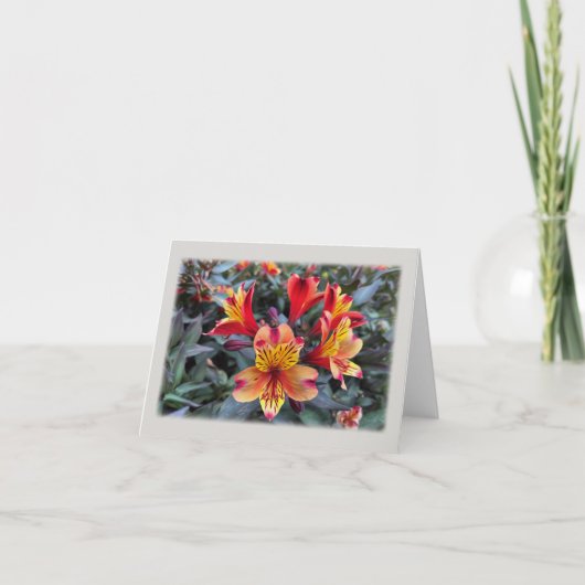 zomerkleuren bedankkaart (Voorkant)