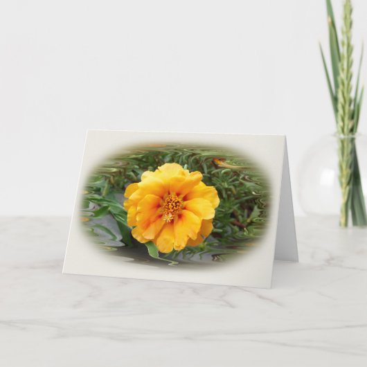 zomerkleuren kaart (Voorkant)