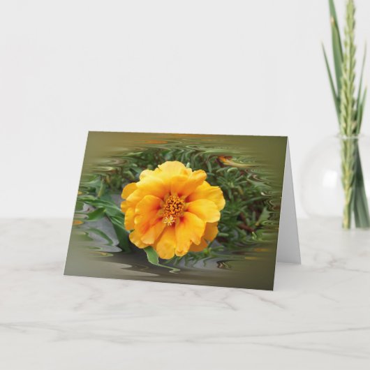 zomerkleuren kaart (Voorkant)