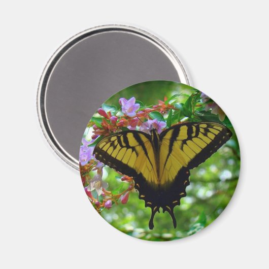 zomerkleuren magneet (Voorkant / Achterkant)