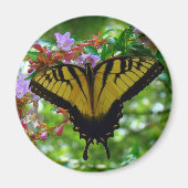 zomerkleuren magneet (Voorkant)