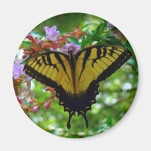 zomerkleuren magneet (Voorkant)