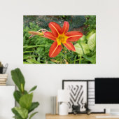 zomerkleuren poster (Thuiskantoor)