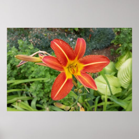 zomerkleuren poster (Voorkant)