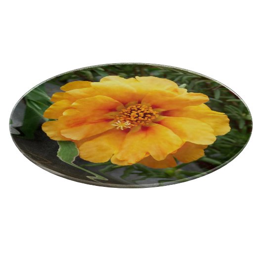 zomerkleuren snijplank (Hoek)