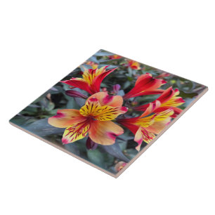 zomerkleuren tegeltje