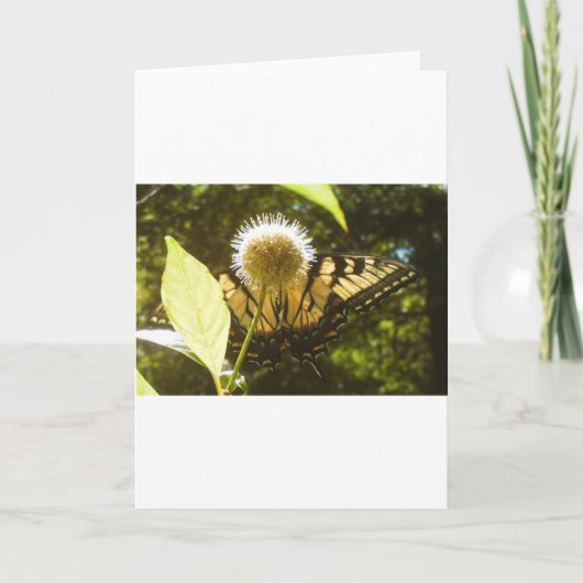 Zomerkoning Wenskaart Kaart (Voorkant)