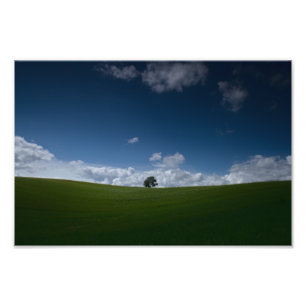 Zomerlandschap (Old Linslade 8355) Foto Afdruk