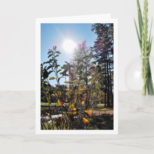 Zomerlandschap op het platteland kaart (Voorkant)