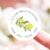 Zomerlemons Retouradres Ronde Sticker