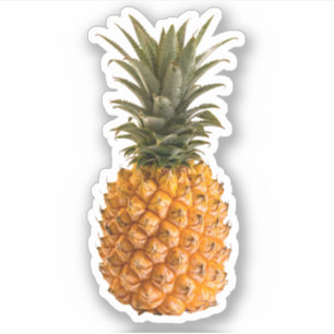 Zomermoderne  meisjesachtige tropische ananas sticker