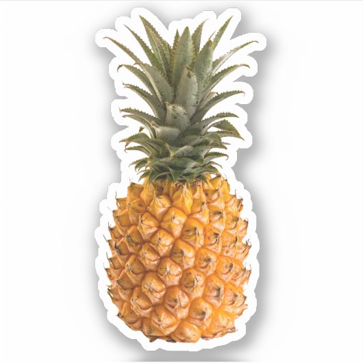Zomermoderne  meisjesachtige tropische ananas sticker (Voorkant)