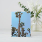 Zomerpalmboom Briefkaart (Staand voorkant)