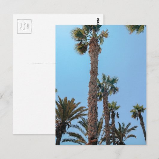 Zomerpalmboom Briefkaart (Voorkant / Achterkant)