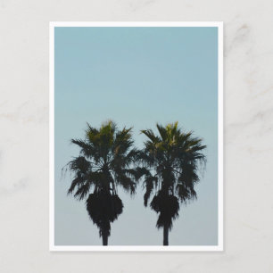 Zomerpalmboom Briefkaart