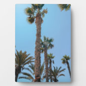 Zomerpalmboom Fotoplaat (voorkant)