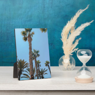 Zomerpalmboom Fotoplaat