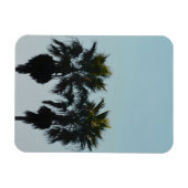 Zomerpalmboom Magneet (Horizontaal)