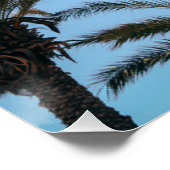 Zomerpalmboom Perfect Poster (Hoek)