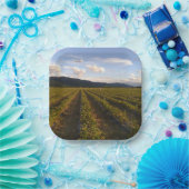 zomerpapier bord (Feest)