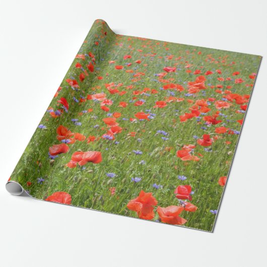 Zomerpapies en cornbloemen cadeaupapier (Uitgerold)