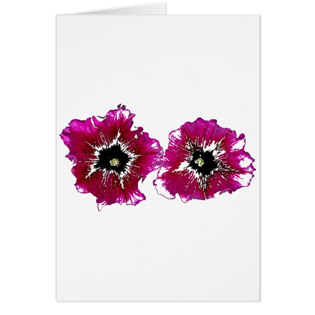 Zomerpetunia's (Voorkant)